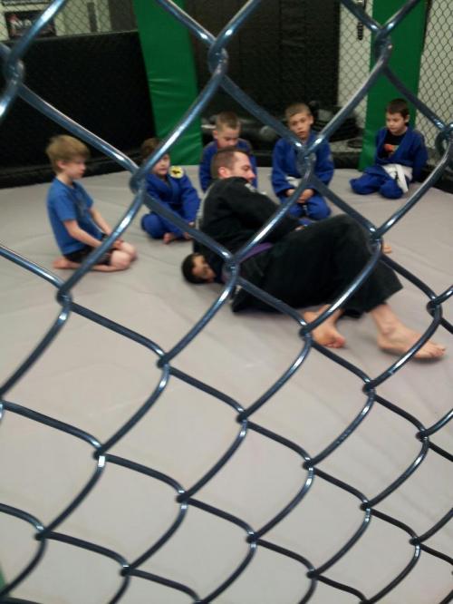 BJJ BELTCHECKER  Justin Polette (2270 points)