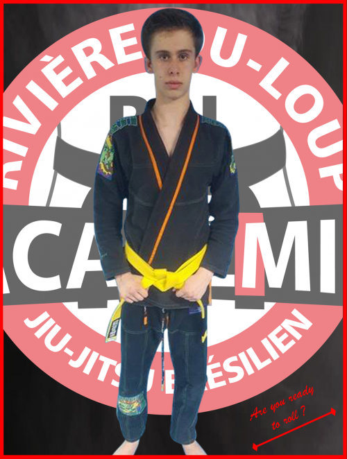 Yellow belt · May 17, 2017 · Promoted by Sebastien Cote