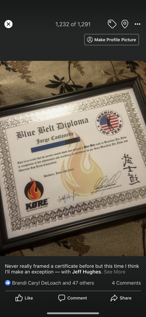 Blue belt · June 25, 2014 · Promoted by Luigi mondelli