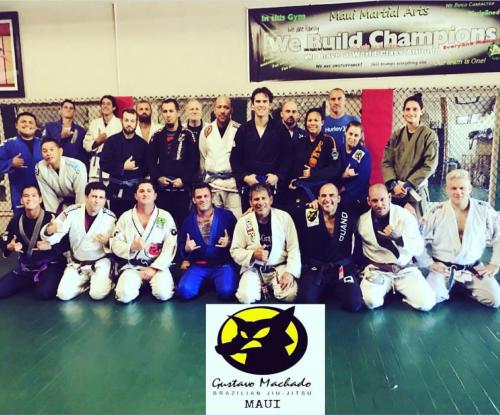 Black belt · August 23, 2017 · Promoted by Ermin Fergerstrom