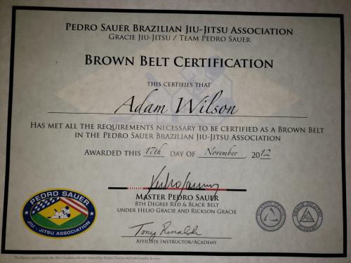 Brown belt · November 17, 2012 · Promoted by Tony Rinaldi