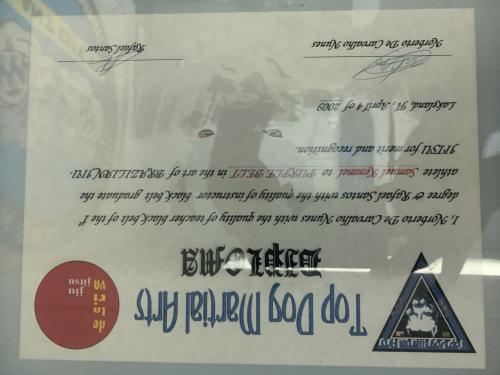 Purple belt · April 4, 2009 · Promoted by Beto Nunez