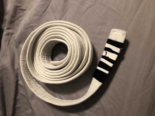White belt · January 30, 2015