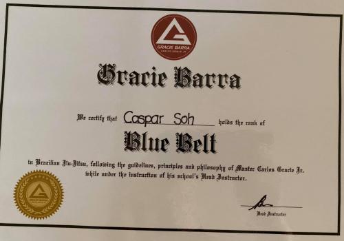 Blue belt · February 8, 2017 · Promoted by Clint Burns