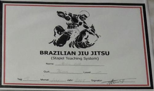 Blue belt · June 12, 2007 · Promoted by Mario Stapel