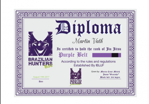 Purple belt · November 27, 2016 · Promoted by Marcio Cesar Melech Junior \\"Gracinha\\"