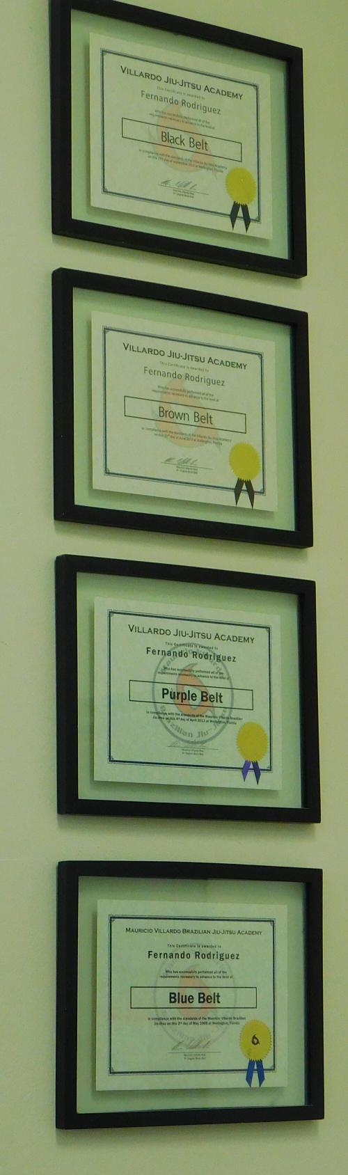 Black belt · September 17, 2015 · Promoted by Mauricio Villardo