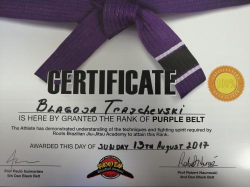 Purple belt · August 13, 2017 · Promoted by Robert Naumoski