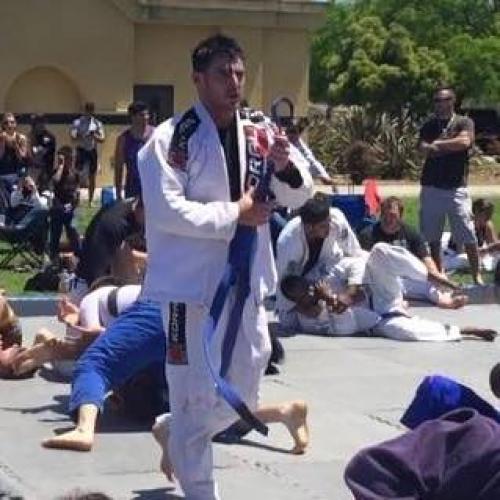 Blue belt · August 11, 2015 · Promoted by Fabio Santos