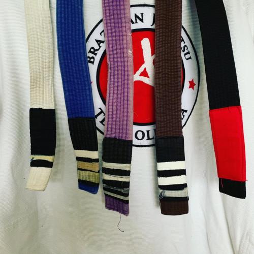 Black belt · January 2, 2019 · Promoted by Ademir Pereira de Oliveira
