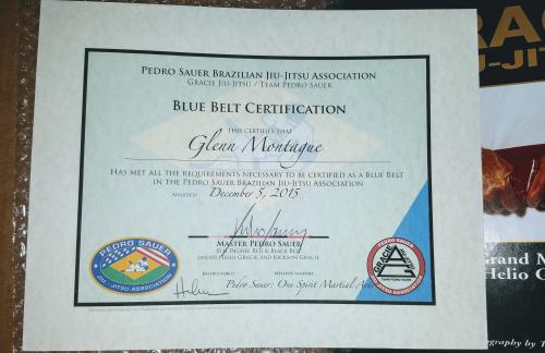 Blue belt · December 5, 2015 · Promoted by Pedro Sauer
