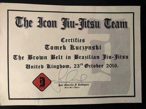 Brown belt · October 23, 2016 · Promoted by jose marcello figueira rodrigues