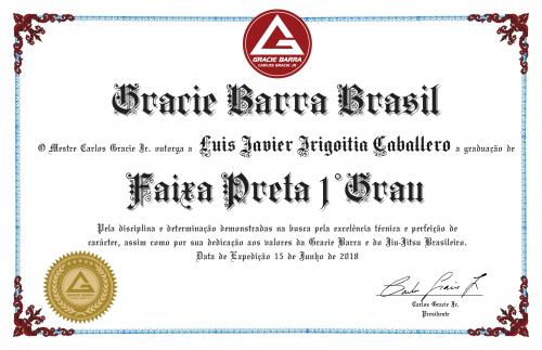 Black belt 1st degree · June 15, 2018 · Promoted by Rodrigo Fajardo