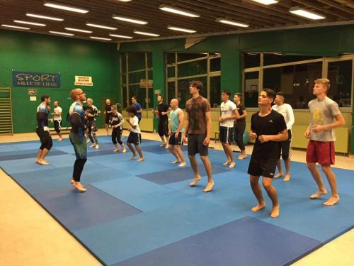 Purple belt · June 1, 2016 · Promoted by Georges Meulenyser