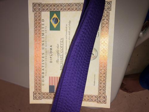 Purple belt · October 22, 2019 · Promoted by Juan Perez