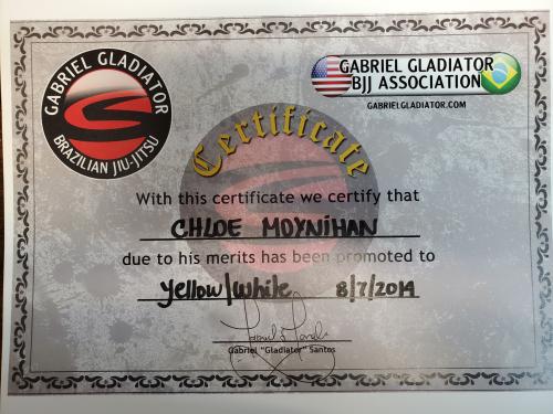 Yellow belt · August 7, 2014 · Promoted by Gabriel Gladiator