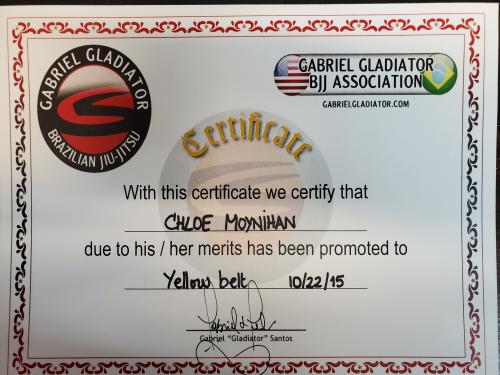 Yellow belt · August 7, 2014 · Promoted by Gabriel Gladiator