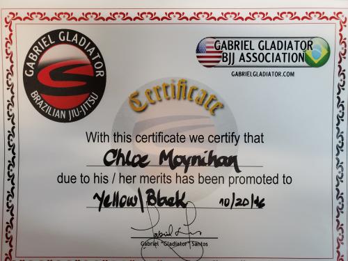 Yellow belt · August 7, 2014 · Promoted by Gabriel Gladiator