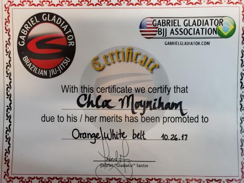 Orange belt · October 26, 2017 · Promoted by Gabriel Gladiator