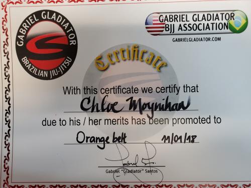 Orange belt · October 26, 2017 · Promoted by Gabriel Gladiator