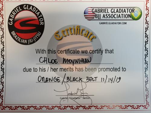 Orange belt · October 26, 2017 · Promoted by Gabriel Gladiator