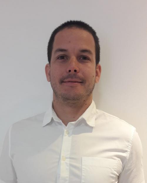 Luis Llamosas