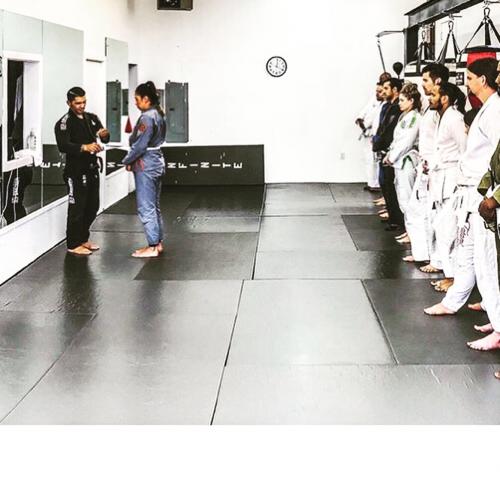 White belt · March 1, 2019