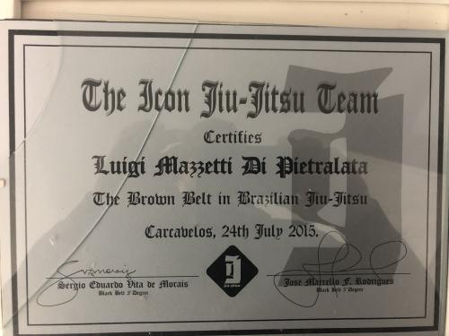 Brown belt · January 25, 2015 · Promoted by Sergio Vita