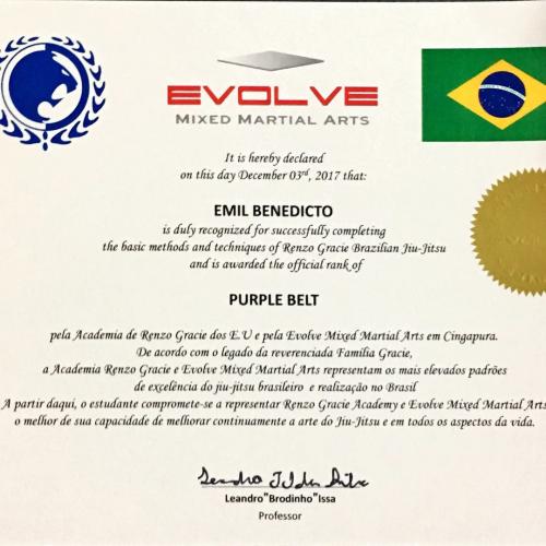 Purple belt · December 3, 2017 · Promoted by Leandro Brodinho Issa