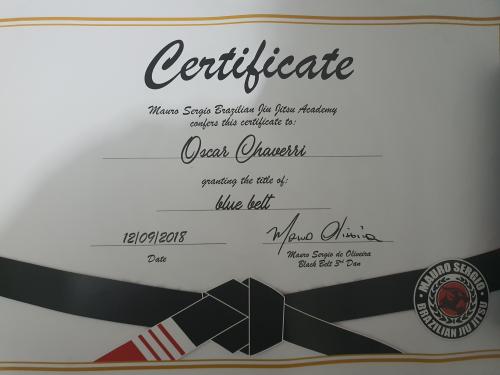 Blue belt · May 25, 2021 · Promoted by Julio Umana