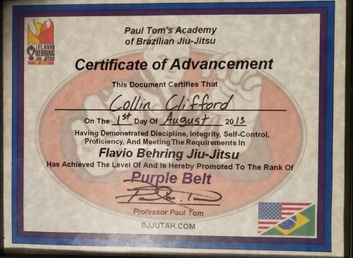 Purple belt · August 1, 2013 · Promoted by Paul Tom
