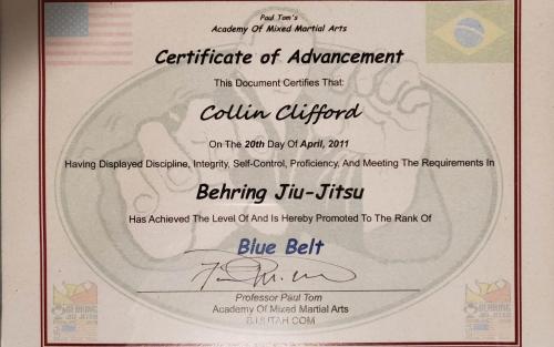 Blue belt · April 20, 2011 · Promoted by Paul Tom