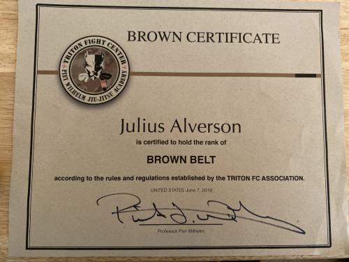 Brown belt · June 7, 2018 · Promoted by Piet Wilhelm