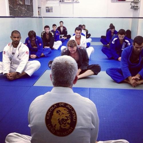 Brown belt · December 1, 2001 · Promoted by José Henrique Leão Teixeira