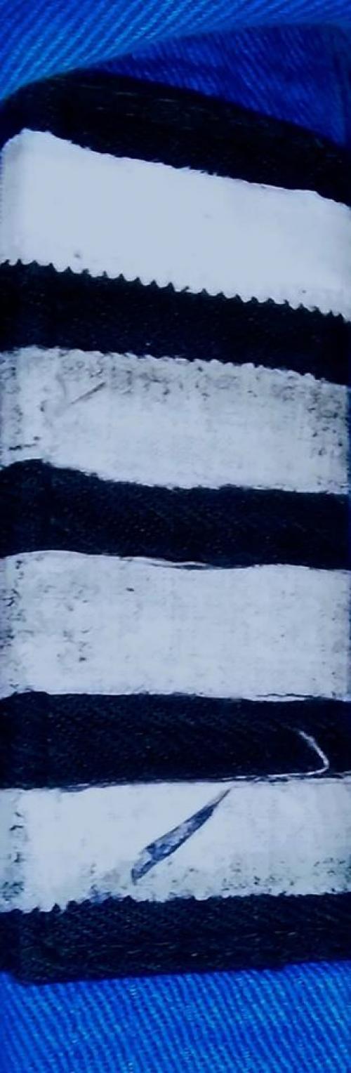 Blue belt · July 2, 2017 · Promoted by Janne-Pekka Pietiläinen