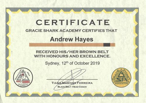 Brown belt · October 12, 2019 · Promoted by Tiago Ferreira