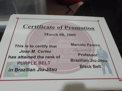 Purple belt · March 8, 2009 · Promoted by Marcelo Pereira