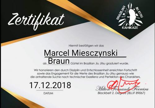 Brown belt · February 15, 2020 · Promoted by Milton Kamikaze Ferreira