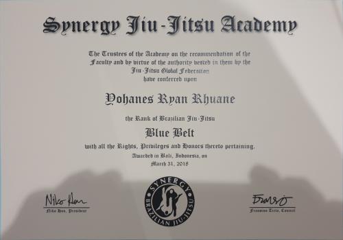 Blue belt · March 31, 2018 · Promoted by Niko Han