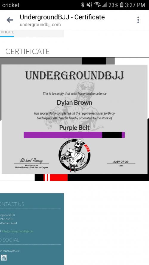 Purple belt · July 29, 2019 · Promoted by Michael Rooney