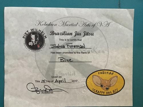 Blue belt · April 15, 2017 · Promoted by Ron manes