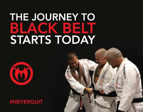 Black belt · May 13, 2017 · Promoted by Rafael Haubert