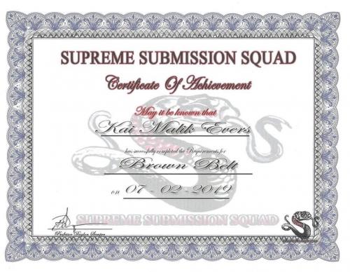 Brown belt · July 2, 2019 · Promoted by Daylon Semper