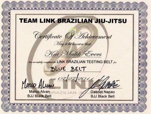 Blue belt · July 27, 2011 · Promoted by Marco Alvan