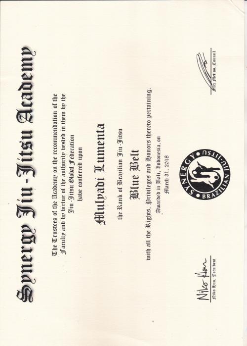 Blue belt · March 31, 2018 · Promoted by Niko Han