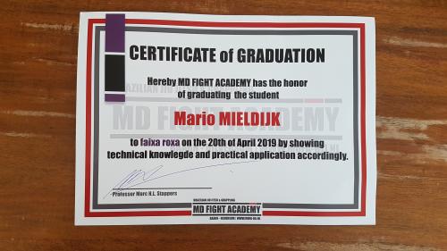 Purple belt · April 20, 2019 · Promoted by Marc Stappers