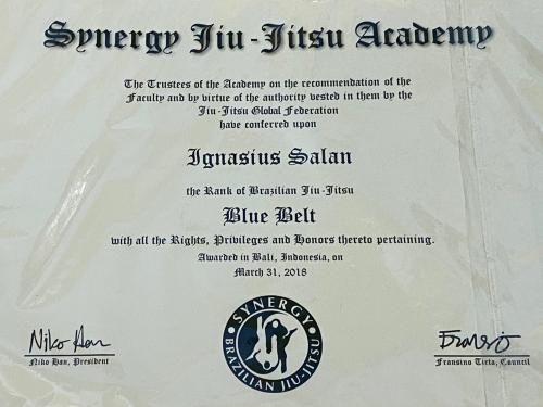 Blue belt · March 31, 2018 · Promoted by Niko Han