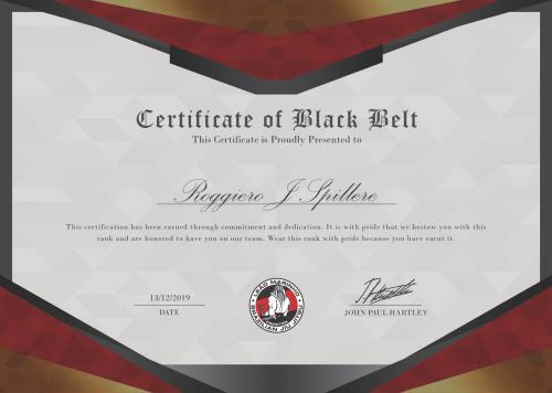 Black belt · December 13, 2019 · Promoted by Paul Hartley