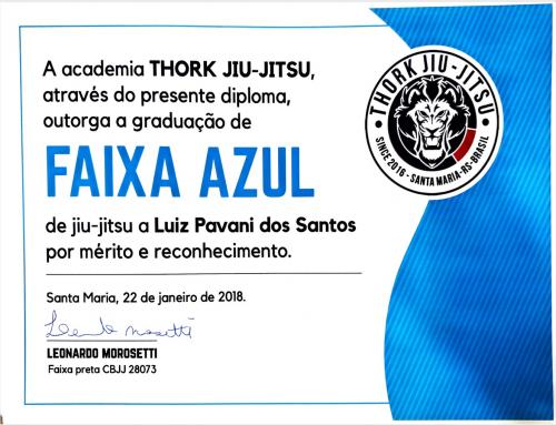 Blue belt · January 22, 2018 · Promoted by Léo Morosetti