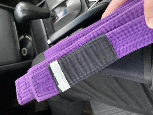 Purple belt · July 2, 2019 · Promoted by Jon Heleotis